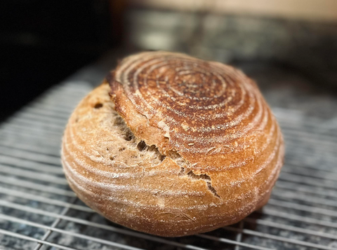 Sourdough Loaf